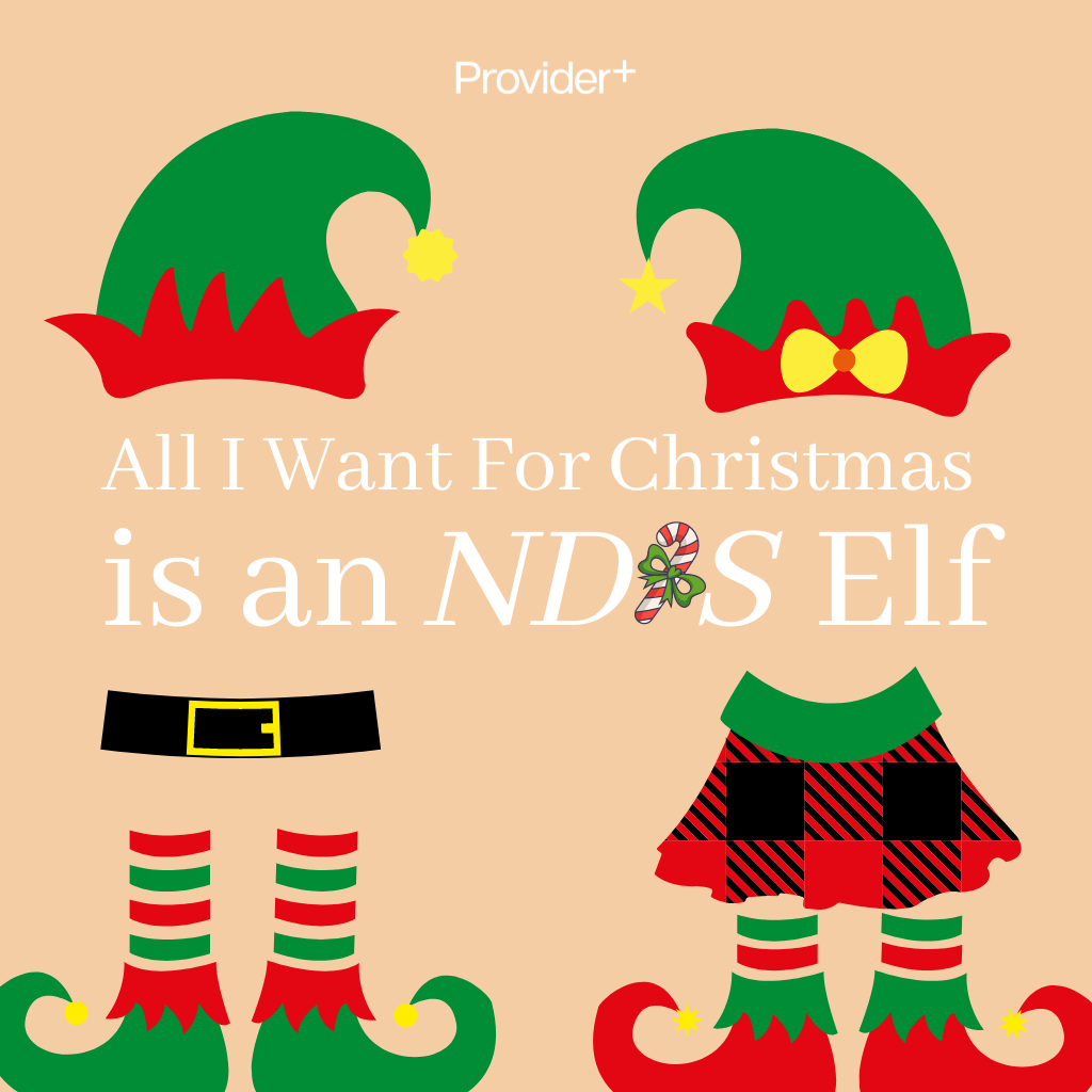 Read more about the article All I Want For Christmas is an NDIS Elf
